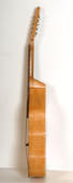 Thuringian bass cittern